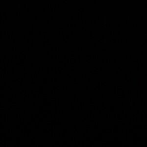 Meet your Posher, Annmi